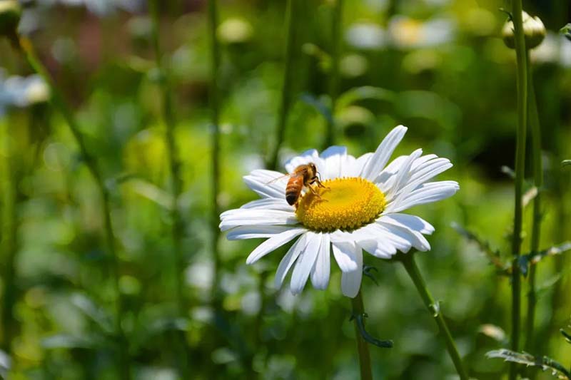 1586334017558081239.jpg 16.jpg