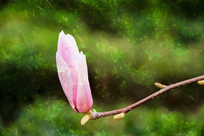 1591769307526037920.jpg 8.jpg