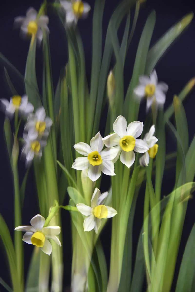 1586334749386033908.jpg 2.jpg