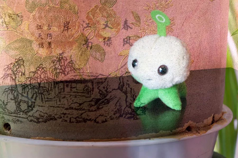 1591769331339083138.jpg 9.jpg