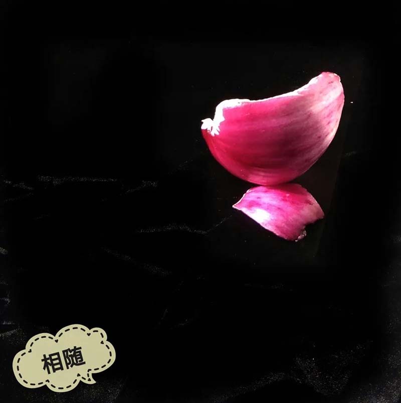 1586333701698012417.jpg 8.jpg