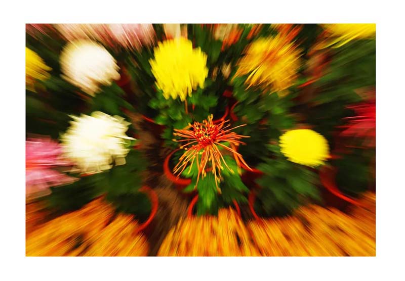 1586333610776059057.jpg 6.jpg