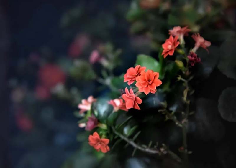 1586333565198073460.jpg 5.jpg