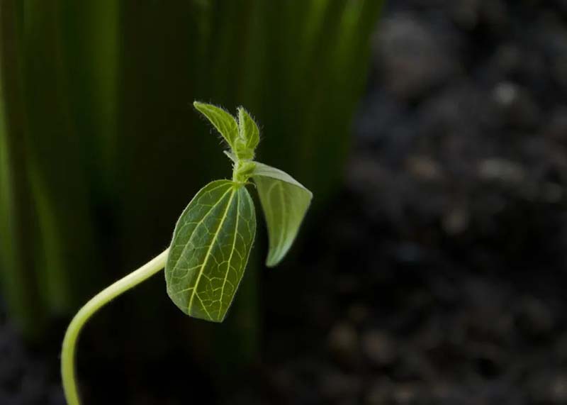 1586333992198019128.jpg 14.jpg