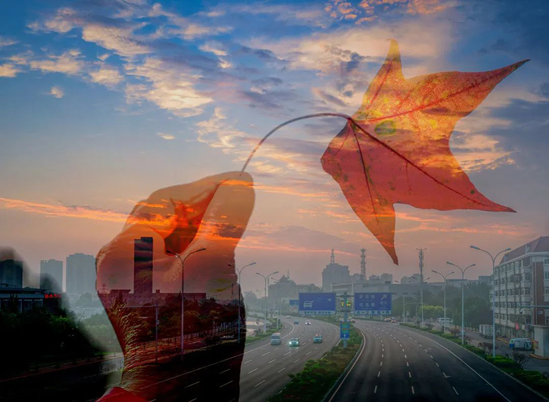 1591769425761091513.jpg 11.jpg