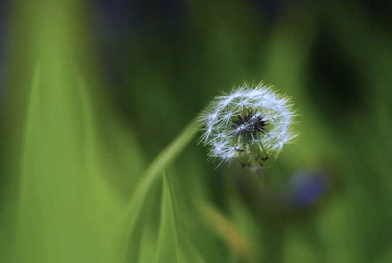 1586334148339094431.jpg 20.jpg