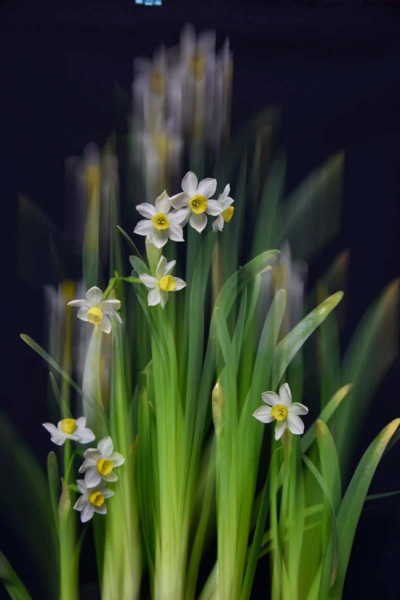 1586333547120091068.jpg 3.jpg