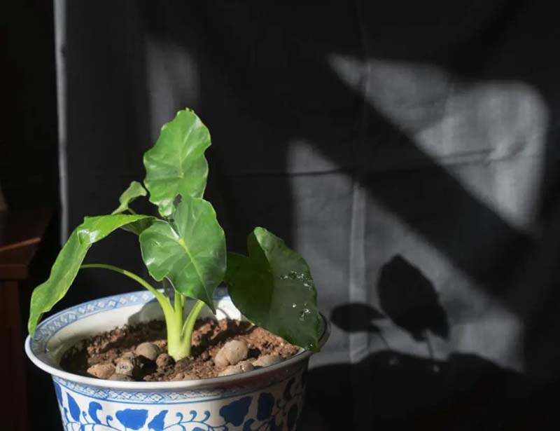 1586334089308099067.jpg 18.jpg