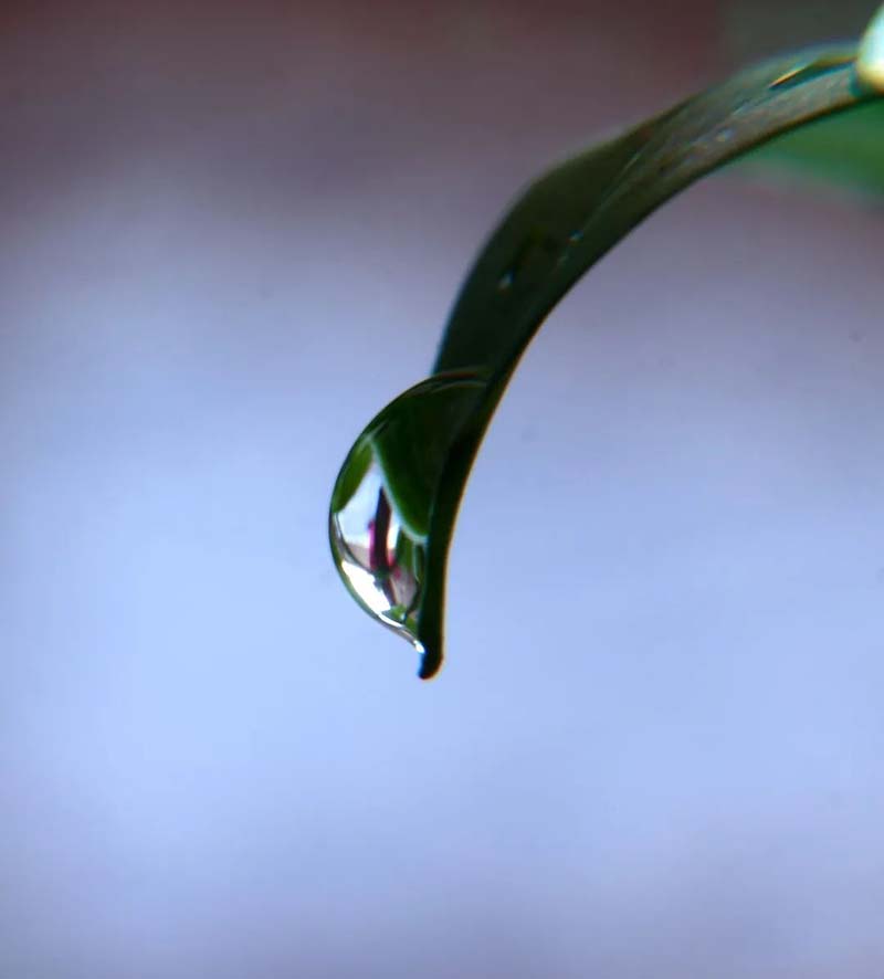 1586334179386088378.jpg 21.jpg