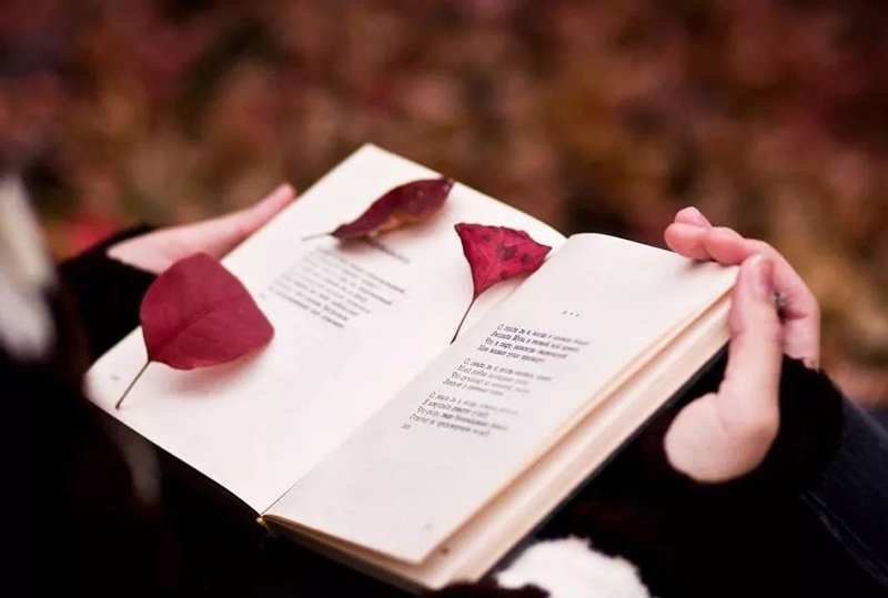 1542610753742040848.jpg 4.1.jpg