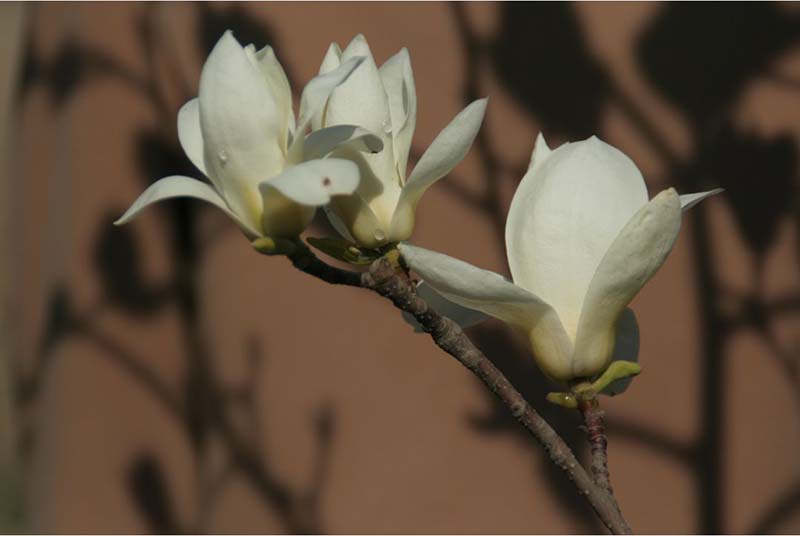 1586333555042044810.jpg 4.jpg