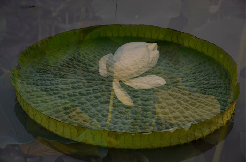 1591769087839083296.jpg 3.jpg