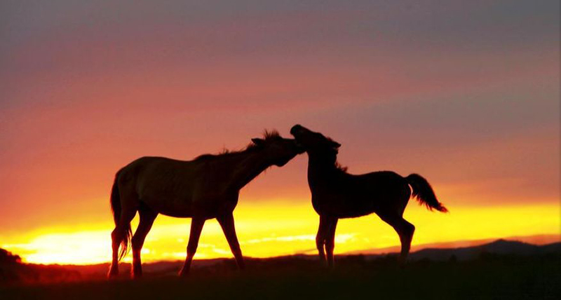 1552276050883088310.jpg 2.2.jpg