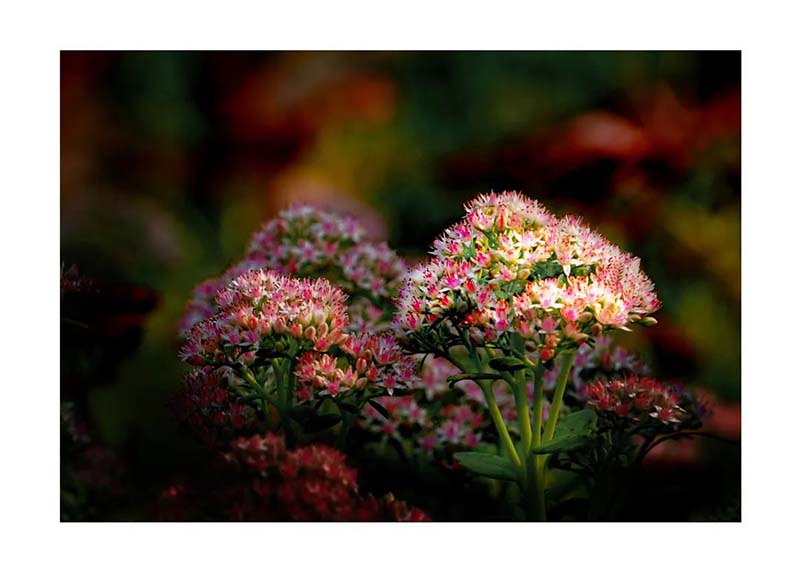 1586333659464065020.jpg 7.jpg