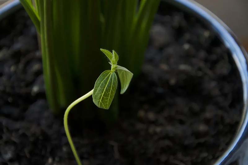 1586333932730018918.jpg 13.jpg