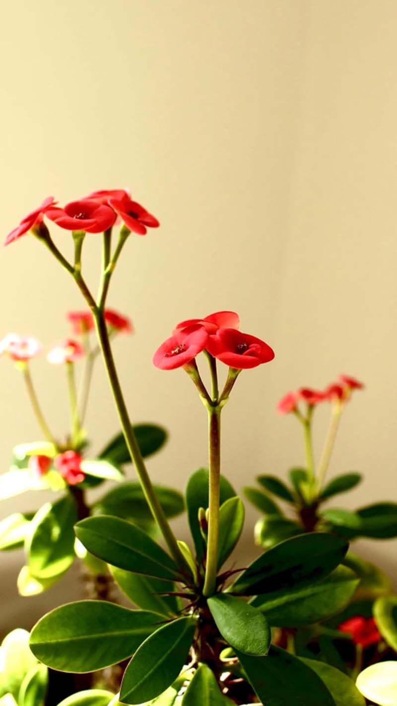 1586334236323028987.jpg 23.jpg