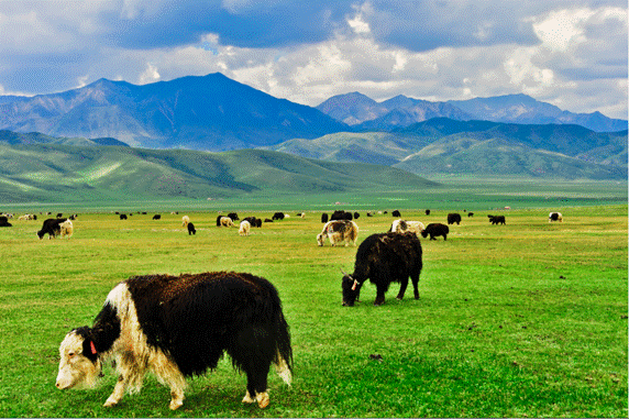 image074.gif