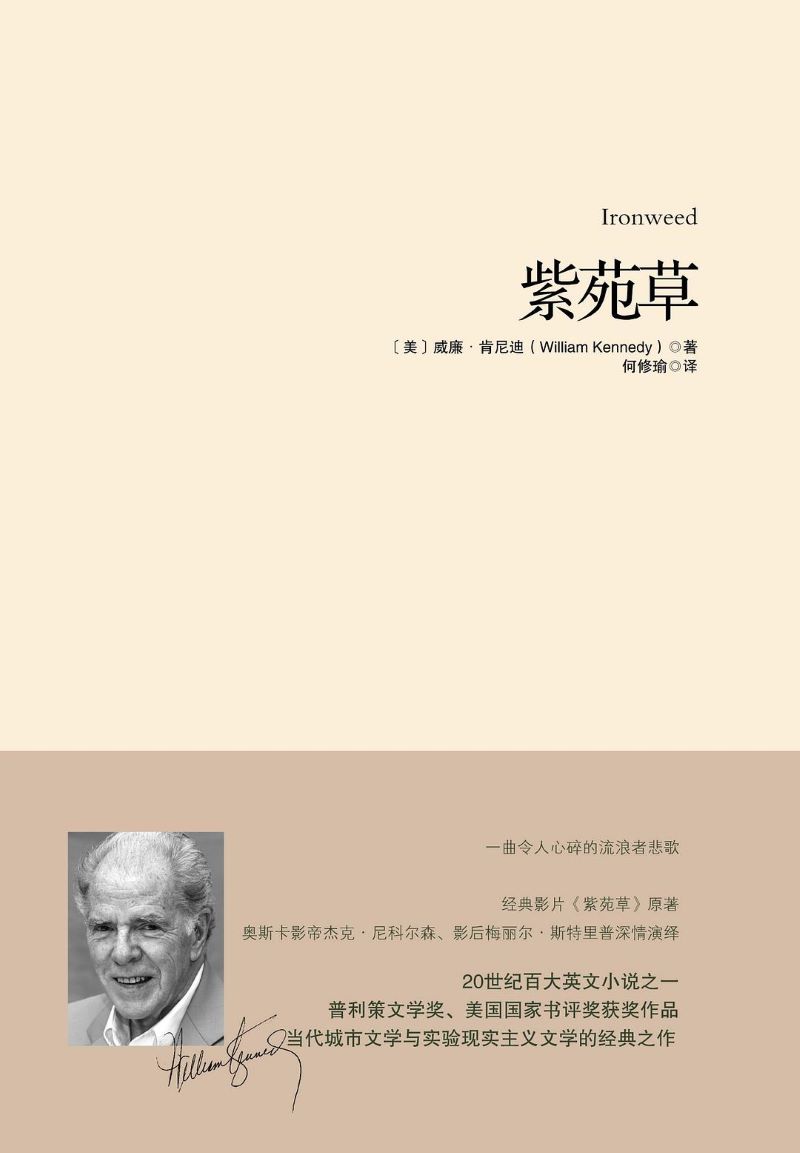 紫苑草.jpg