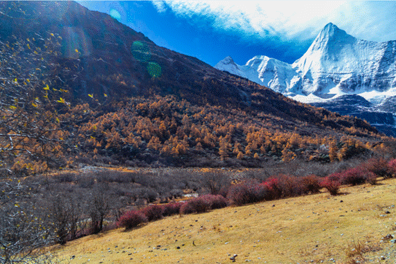 image097.gif