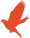 图片12.png