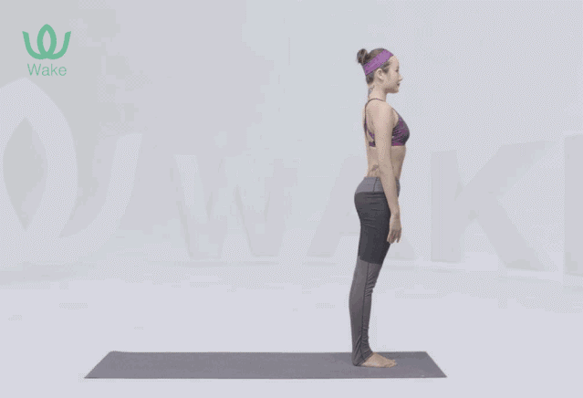 3.gif