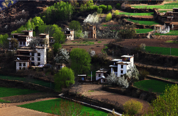 image026.gif