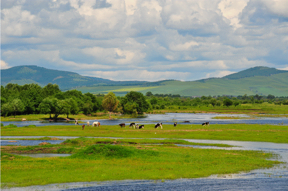 image068.gif