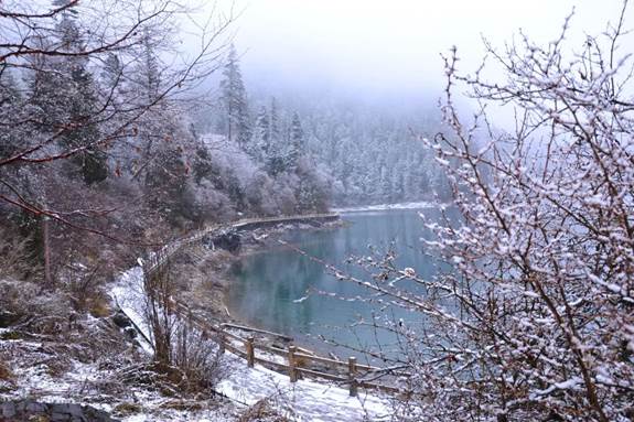 image105.jpg