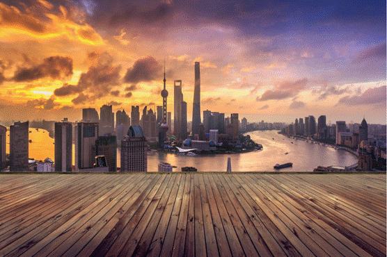 image006.gif