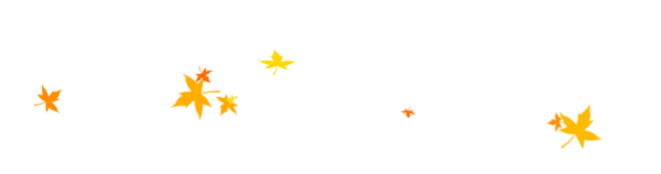 11.png