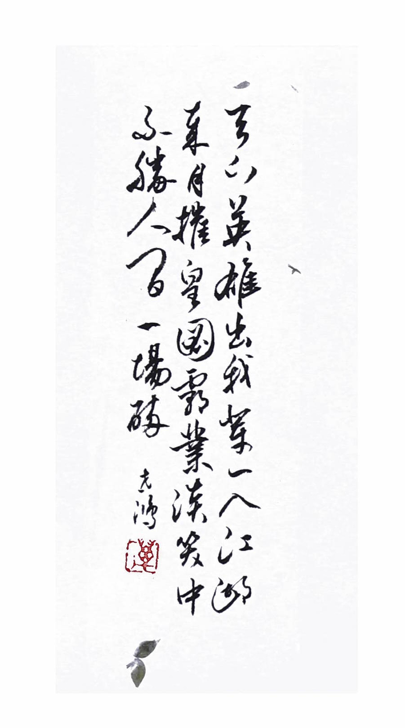 1566462076716041688.jpg 15.jpg